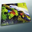 Commercial aluminum surface artwork
